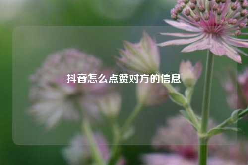 抖音怎么点赞对方的信息