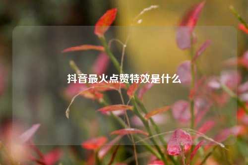 抖音最火点赞特效是什么