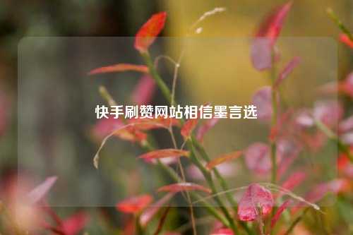 快手刷赞网站相信墨言选