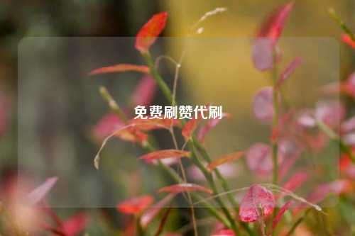 免费刷赞代刷