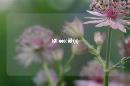 刷10000赞QQ