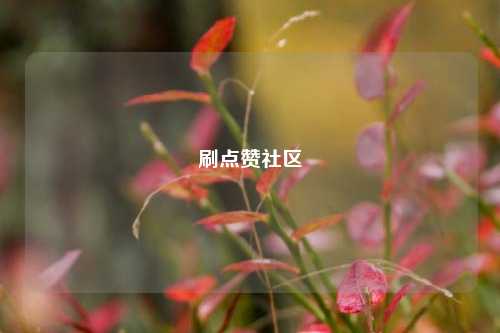 刷点赞社区