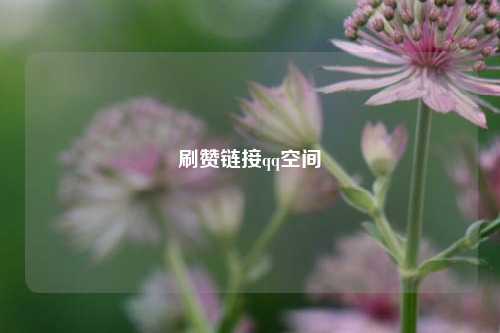 刷赞链接qq空间