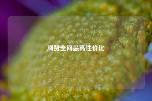 刷赞全网最高性价比