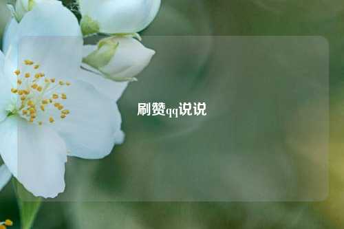刷赞qq说说