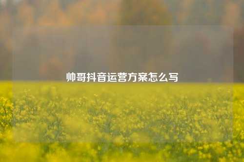 帅哥抖音运营方案怎么写