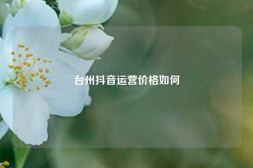 台州抖音运营价格如何